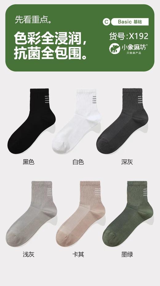 HJ-小象麻坊2024春夏新款 男烫印半网运动袜三双装-X192【ZB】 商品图0