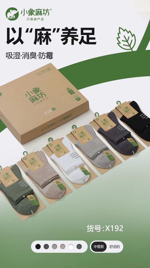 HJ-小象麻坊2024春夏新款 男烫印半网运动袜三双装-X192【ZB】 商品图2