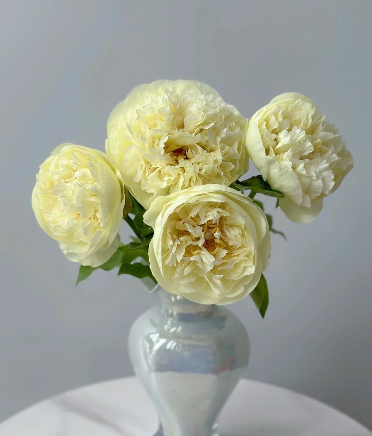 【预售！4.20起陆续发出】柠檬雪纺【人间四月天，芍药铺庭前】简小姐精选柠檬黄色新品 柠檬雪纺 2件包邮 顺丰空运