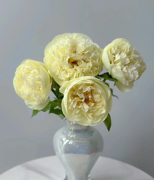 【预售！4.20起陆续发出】柠檬雪纺【人间四月天，芍药铺庭前】简小姐精选柠檬黄色新品 柠檬雪纺 2件包邮 顺丰空运 商品图0