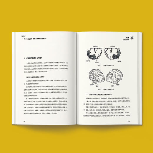 《儿童脑开发：全脑开发带来超强学习力》 商品图9