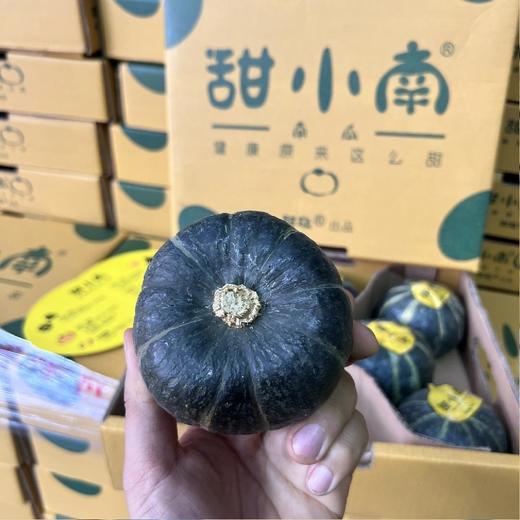 【甜小南板栗南瓜】8粒装～口感比板栗香甜，皮也能吃，香甜又粉糯，低卡更健康，简单用水蒸熟即可。 商品图2