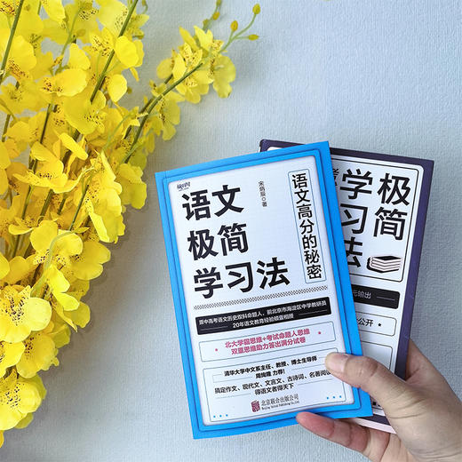 语文极简学习法 商品图3