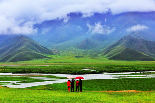 【新疆伊犁5月限定】绝美新疆 天山红花 塔夏古道8天摄影 商品图13