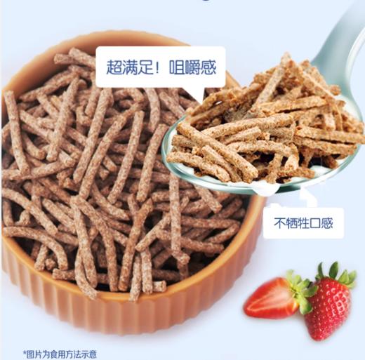 意大利进口 无科技添加健康纤维全麦脆条 商品图2