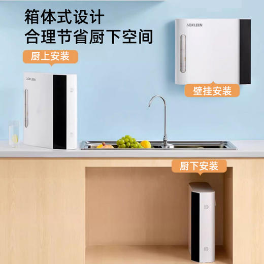艾可丽赫斯提亚C300 家用净水器超滤五级过滤自来水厨下净水机 商品图3