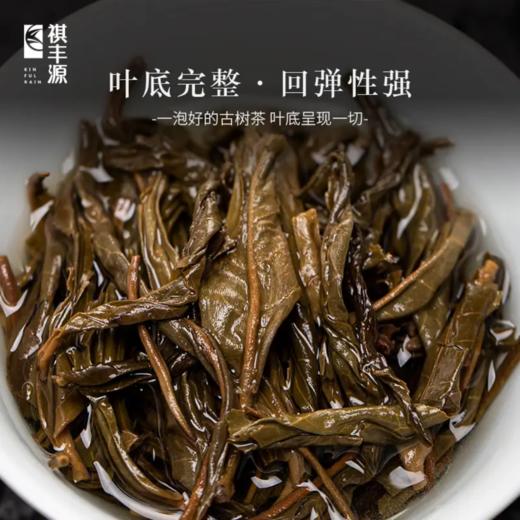 生普 | 祺丰源 2019古木金韵-昔归100g/饼 商品图4