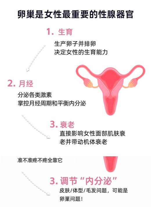 「PP专属」爱巢测卵巢功能居家检测-AMH卵巢健康度/性激素六项/生育储备能力 商品图8