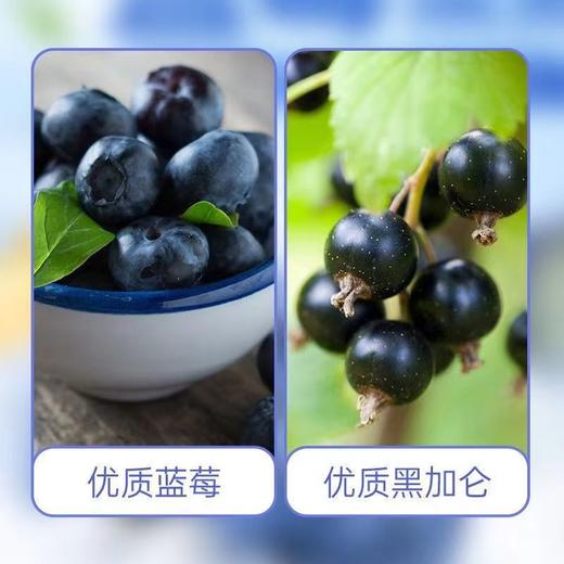 星鲨蓝莓叶黄素酯软糖27g儿童成人益生菌营养呵护刷屏网课学生眼睛熬夜 商品图2