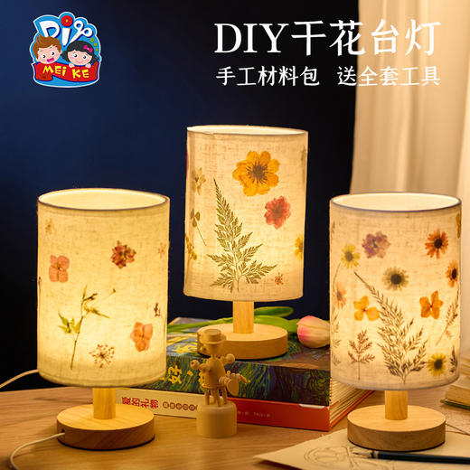 母亲节礼物手工diy干花台灯儿童制作材料包团建活动压花小夜灯 商品图1