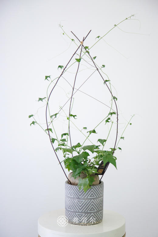 圆水泥盆 - 睡布袋 商品图0