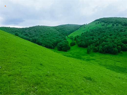 五一2日【坝上草原】越野车·京北第一草原·闪电湖·七彩森林·篝火 商品图6