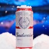 百威啤酒 商品缩略图0