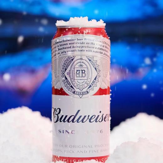 百威啤酒 商品图0