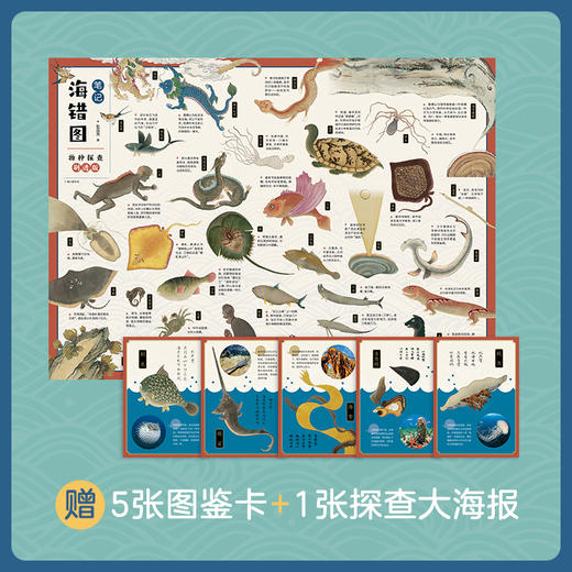 海错图笔记·青少版套装(1-2) 商品图2
