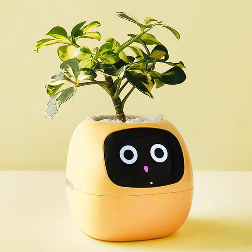 【送绿植5选1】植物萌宠机器人电子宠物花盆 商品图3
