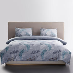 HBCE-002 BOSS磨毛四件套