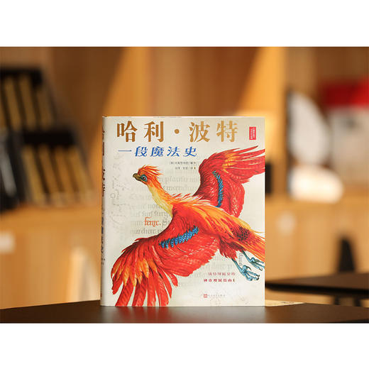 哈利·波特 一段魔法史 商品图3