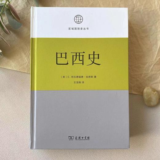 巴西史 (区域国别史丛书) 商品图2