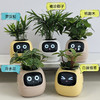 【送绿植5选1】植物萌宠机器人电子宠物花盆 商品缩略图1