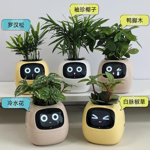 【送绿植5选1】植物萌宠机器人电子宠物花盆 商品图1