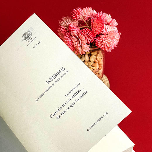 认识你自己 轻与重文丛 精装 哲学史 吕西安·热法尼翁 商品图8