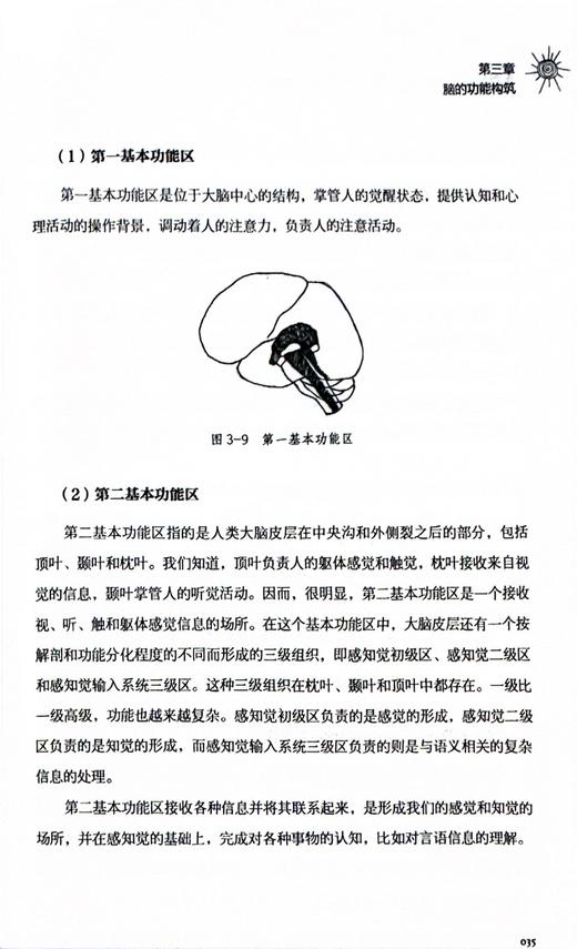 《儿童脑开发：全脑开发带来超强学习力》 商品图6