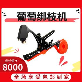 8000成长值送绑枝机或不锈钢盆四件套