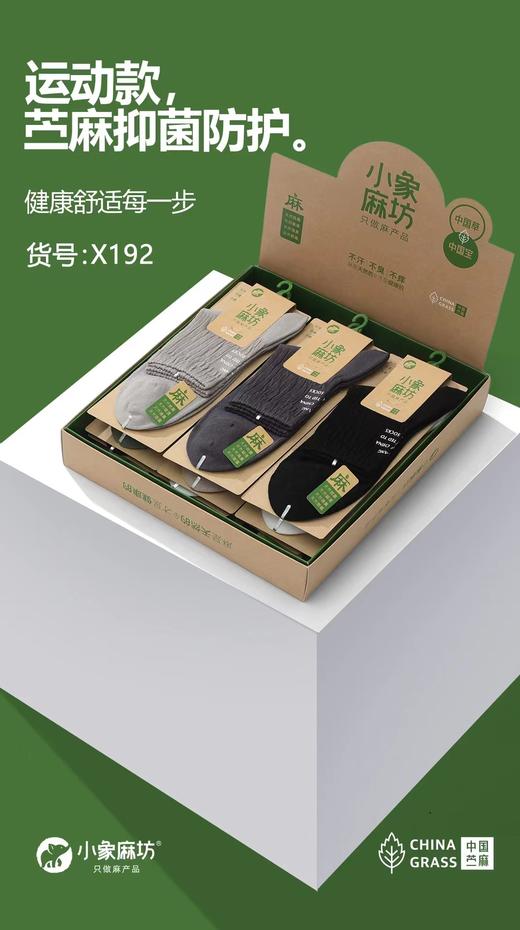 HJ-小象麻坊2024春夏新款 男烫印半网运动袜三双装-X192【ZB】 商品图1