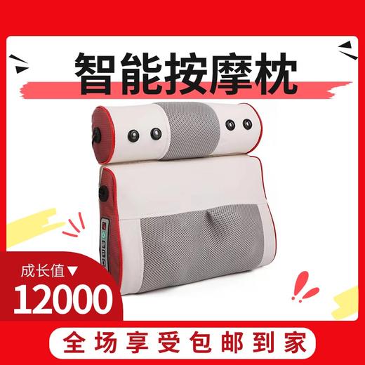 12000成长值送智能按摩枕 商品图0