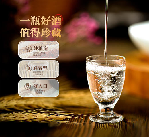 五粮液  财富人生  国产白酒精品包装 艺术金砖 52%VOL 送礼领导 商品图1