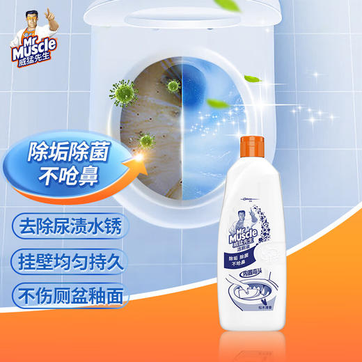 威猛先生洁厕液（松木清香）900g*2瓶 商品图0