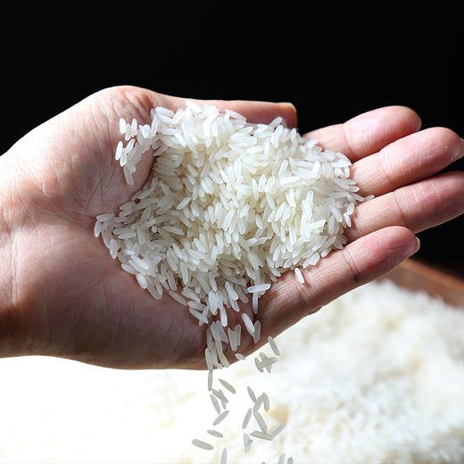 帕侬蓝泰国香米5kg【快递】 商品图1