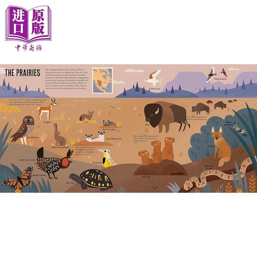 【中商原版】动物的图谱 Amazing Animal Atlas 英文原版 儿童科普绘本 自然知识百科图画书 精装进口图书 儿童读物7-12岁 商品图1