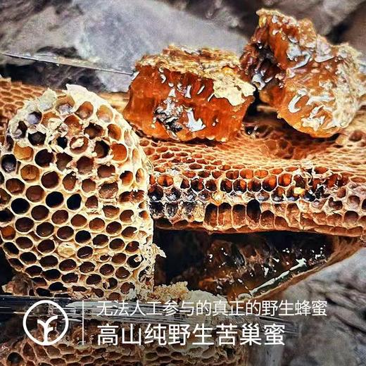 【有机】野生苦巢蜜500g/盒，源自高原原始森林，名贵中草药为蜜源 商品图1