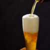 【林肯精酿白啤】澳洲进口小麦酿造 德式白啤风味 冷藏饮用更佳 500ml*12罐/箱 商品缩略图11