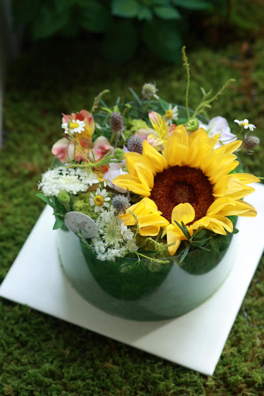 春日花园蛋糕（海报图为6寸，4寸较小花色品种少慎拍） 商品图0