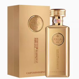 五粮液  财富人生  国产白酒精品包装 艺术金砖 52%VOL 送礼领导