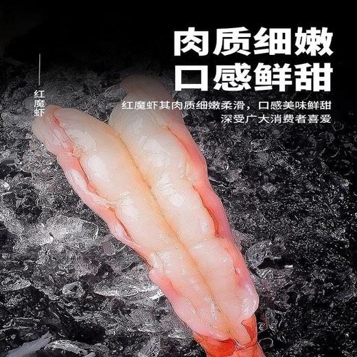 【刺身级！鲜活深海红魔虾】新鲜海捕，虾脑鲜香，肉质鲜嫩，口感鲜甜！特大刺身甜虾生腌生吃海鲜水产非西班牙进口鳌虾 商品图3