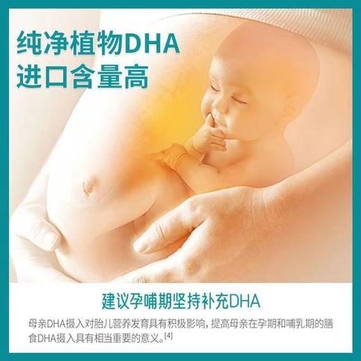 【新西兰进口】星鲨dha藻油婴幼儿海藻油胶囊滴剂60粒非鱼油 商品图2