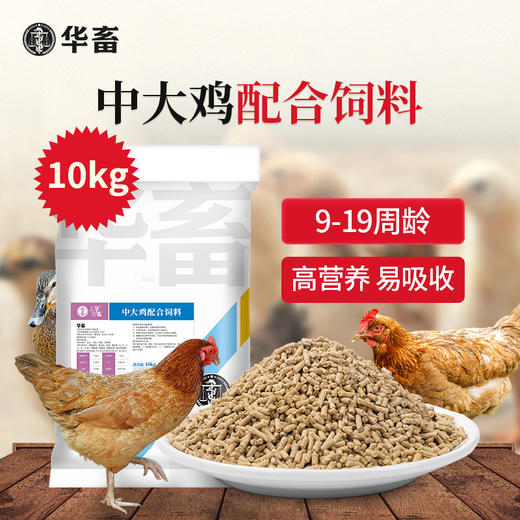 【整吨更优惠】华畜 中大鸡全价料颗粒料20斤 原料营养丰富 蛋白质含量高 长得快 使用阶段7周龄以后 商品图0