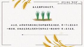 二上 主题5 活动4 种植小达人