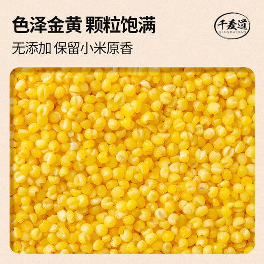 【积分兑换】千麦道 一级优质黄金苗K1精选朝阳小米 2.5KG/袋 加1元送洗衣篮/便当包 赠品颜色随机 商品图1