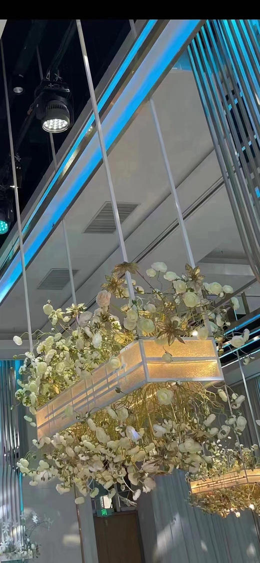 空中幽兰（运费自理） 商品图0