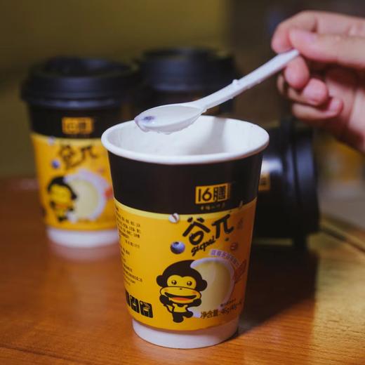 【有机】蓝莓多谷杂粮饮，46g/杯，谷物天然0添加，10余种谷物杂粮科学配比 商品图1