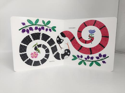 生肖家族一起玩 （第二辑，全4册） 《神秘的龙》《不一样的小蛇》《两只羊》《花马农场》 中英对照 艺术审美 传统文化 原创故事 商品图5