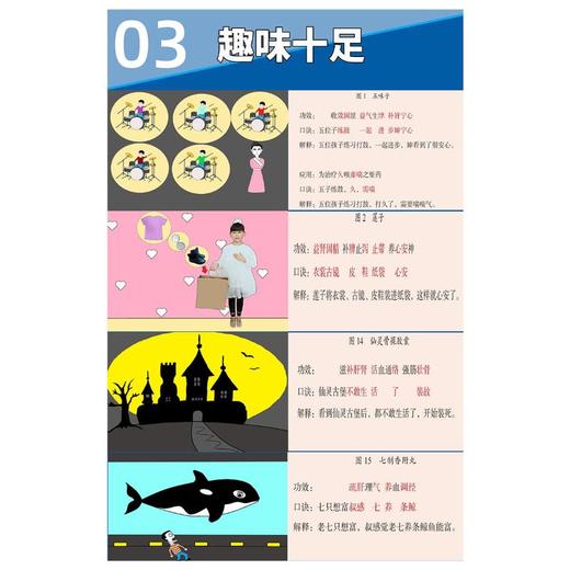 中药 中成药功效趣味速记法 商品图3