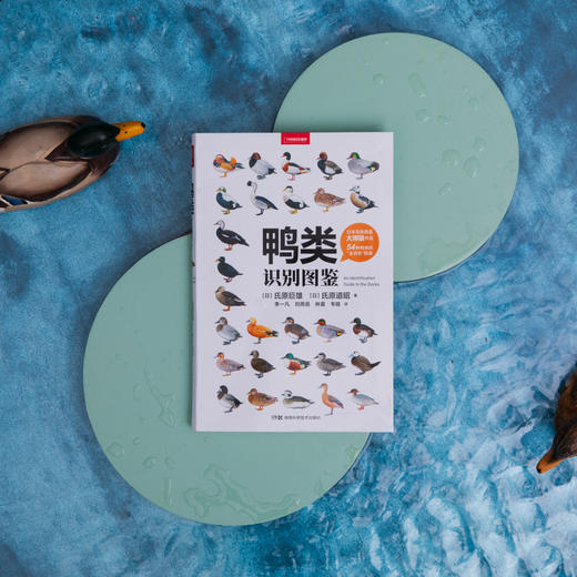 观鸟系列5本：中国鸟类观察手册+鸟类行为图鉴+鸟类：一切为了飞行+鸭类识别图鉴+鸟类星球 观鸟识别指南科普 鸟类画册 商品图3