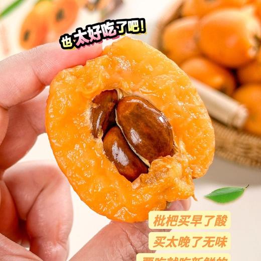 【新品】天沐农蜜·高山枇杷 商品图1