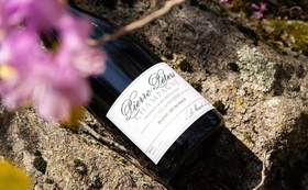  康帝庄主为何偏爱这家香槟? 